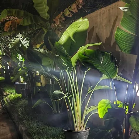 Domos De Ammentos 4*